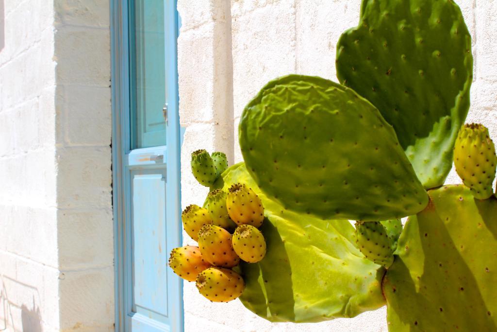 Masseria Fulcignano Galatone Kültér fotó