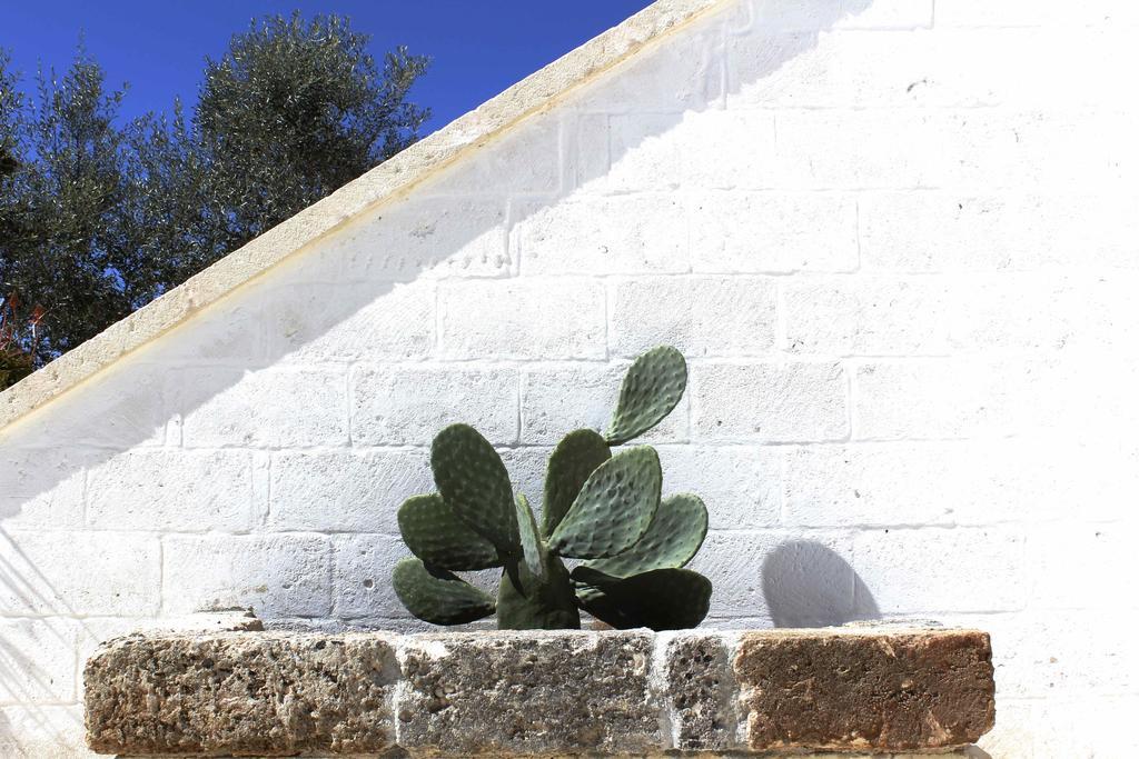 Masseria Fulcignano Galatone Kültér fotó